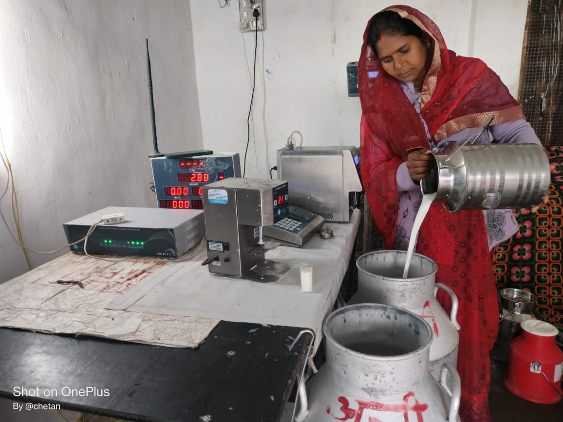 Adani Foundation at ACC Tikaria benefits 100 rural dairy farmers by quadrupling milk collection